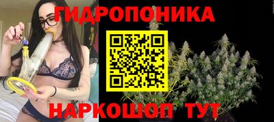 дживик Дмитров